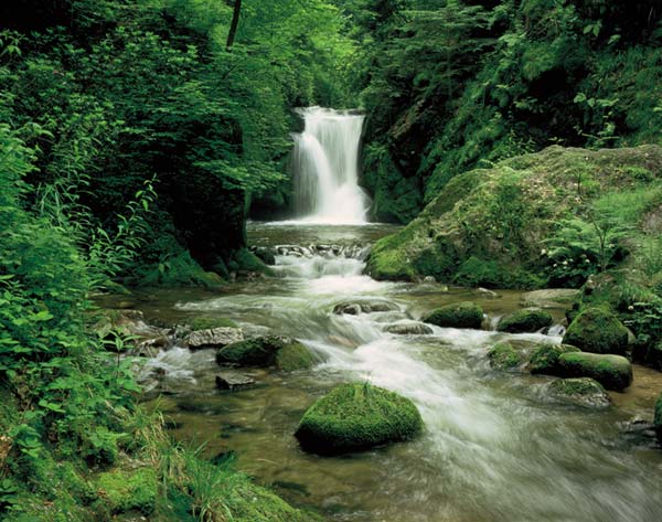 Poster gigantografie da parete,spiagge,montagne,cascate,castelli,ville,boschi ecc